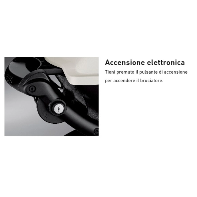 Vendita online Barbecue a gas Weber Q 1200 Black
